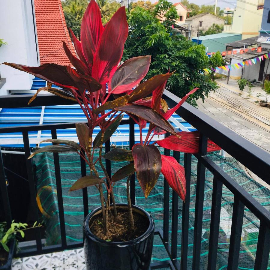 An Bang Sea Adventure Homestay Hoi An Exterior foto