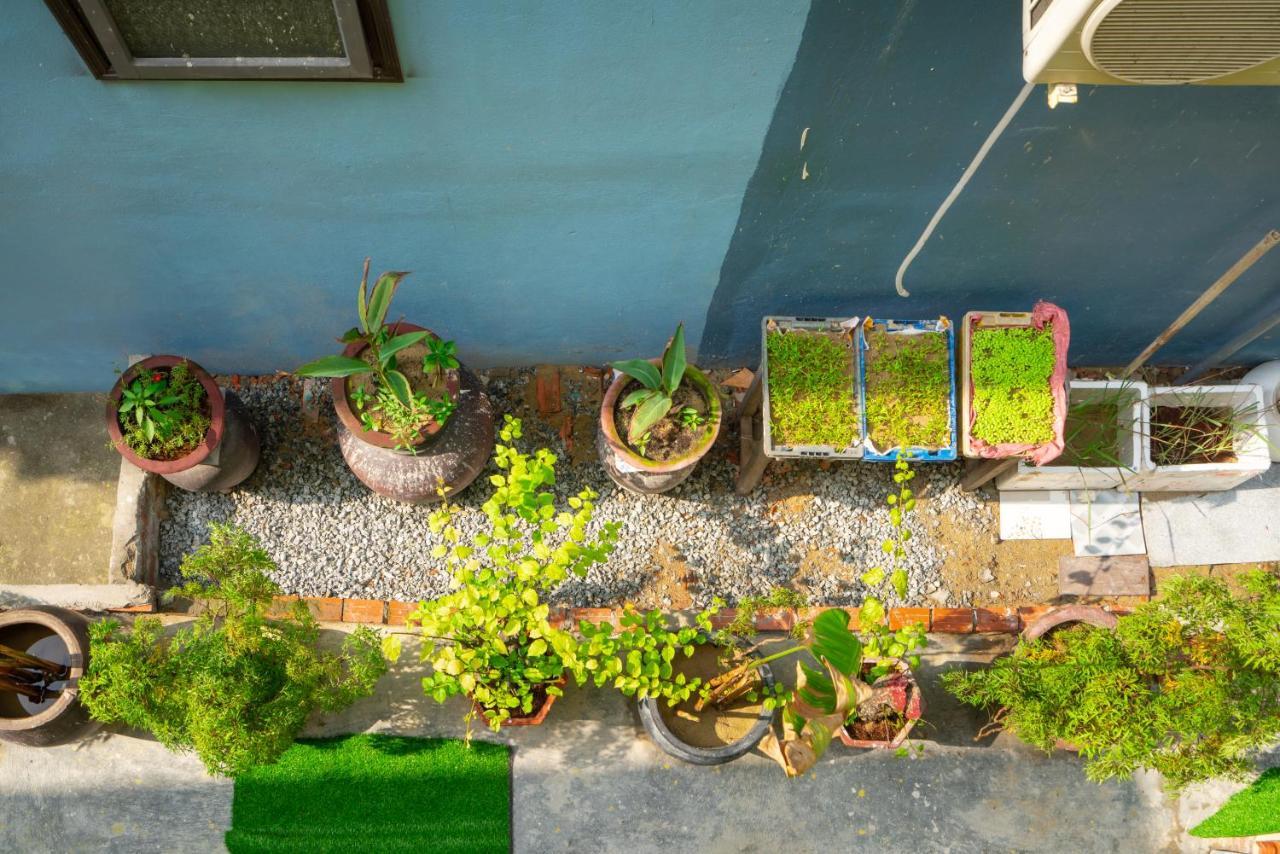 An Bang Sea Adventure Homestay Hoi An Exterior foto